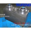 山東泰豐定做WC67Y-TF系列液壓缸 數控折彎機油缸